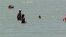 DSC00211.JPG