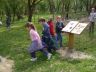 SDC13920.JPG