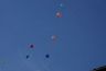DSC08478.jpg